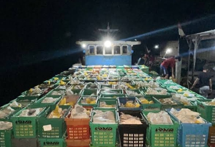 Bea Cukai Inhil Tangkap Kapal Pembawa 15 Ton Mangga, Kasus Dilimpahkan ke Karantina