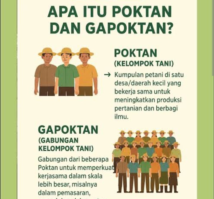 Meski Ada Aturan Yang Melarang, Kades Sungai Buluh Rangkap Jabatan Jadi Humas Poktan Berkah Sejahtera