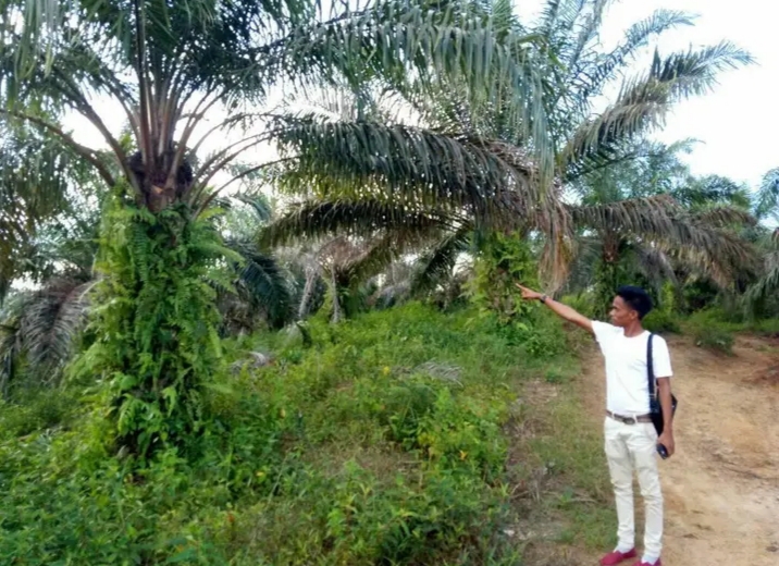 Usai Diberitakan Terkait Kebun Sawit, Suhardiman Amby Munculkan Foto Wartawan Untuk di 'Adu Domba'