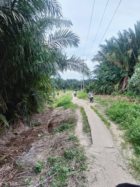 Warga Minta Pemkab Perbaiki Jalan Poros Penghubung Desa Idaman ke Jalan Provinsi