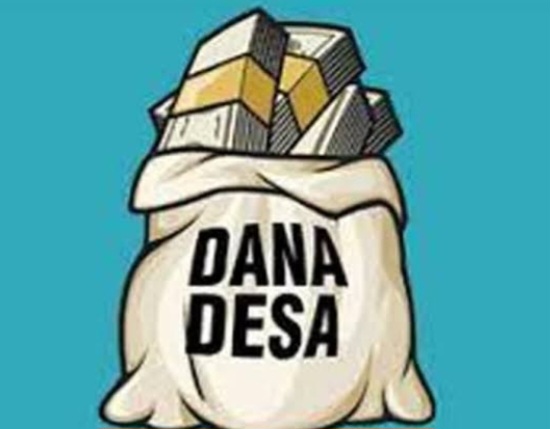 Website Desa Tidak Berfungsi, Puluhan Juta Anggaran Desa Terbuang Percuma