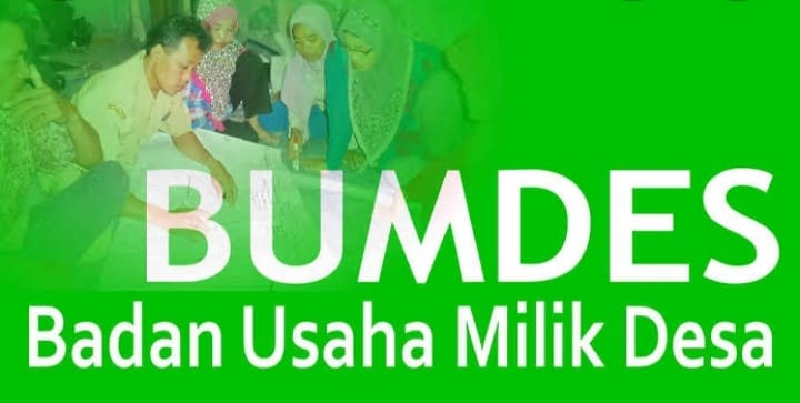 Tidak Diketahui Jenis Usahanya, Banyak BUMDes di Inhil Bermasalah