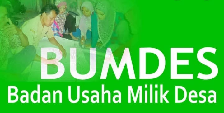 Tidak Diketahui Jenis Usahanya, Banyak BUMDes di Inhil Bermasalah