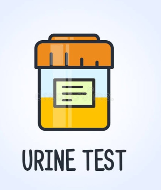 Ketua LSM Elang Mas Inhil Minta PMD Gelar Tes Urine Kepala Desa